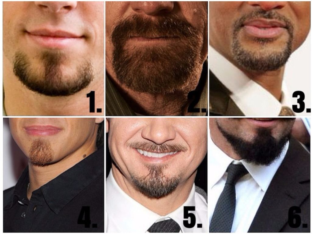 Фото бороды у мужчин виды и названия с примерами