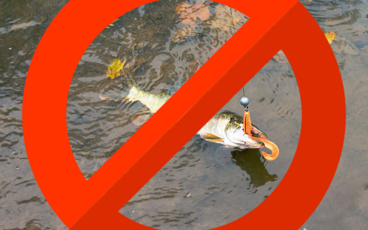 Ловить рыбу во время нереста. Ловить рыбу запрещено. Вылов рыбы запрещен. Рыбалка ловля запрещена. Нерест запрет рыбалки.