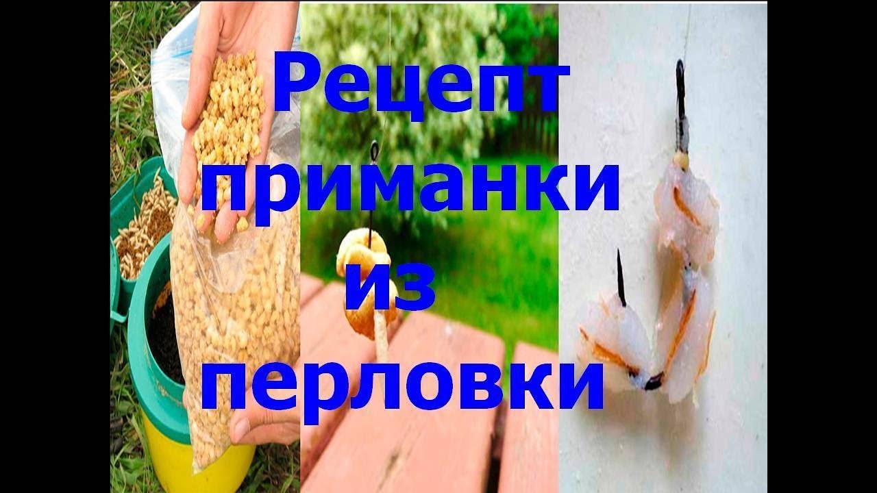 Как варить перловку для рыбалки? как запарить перловку для рыбалки :: syl.ru