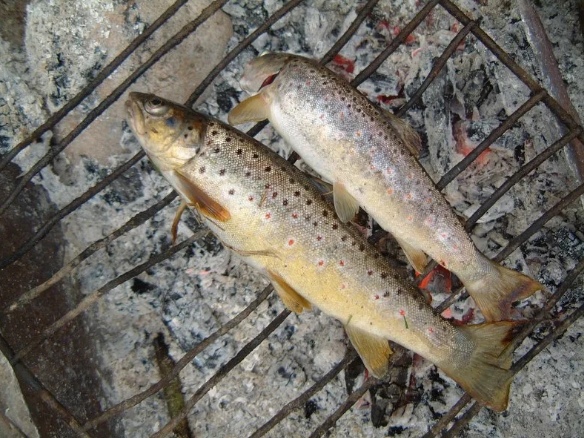 Рыбалка в калининградской области 2021 клев рыбы прогноз, календарь рыбака лунный 3, 5, 7, 10, зима, лето, весна, осень