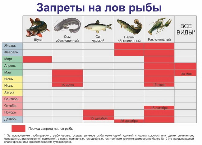 Рыбалка в орловской области бесплатно