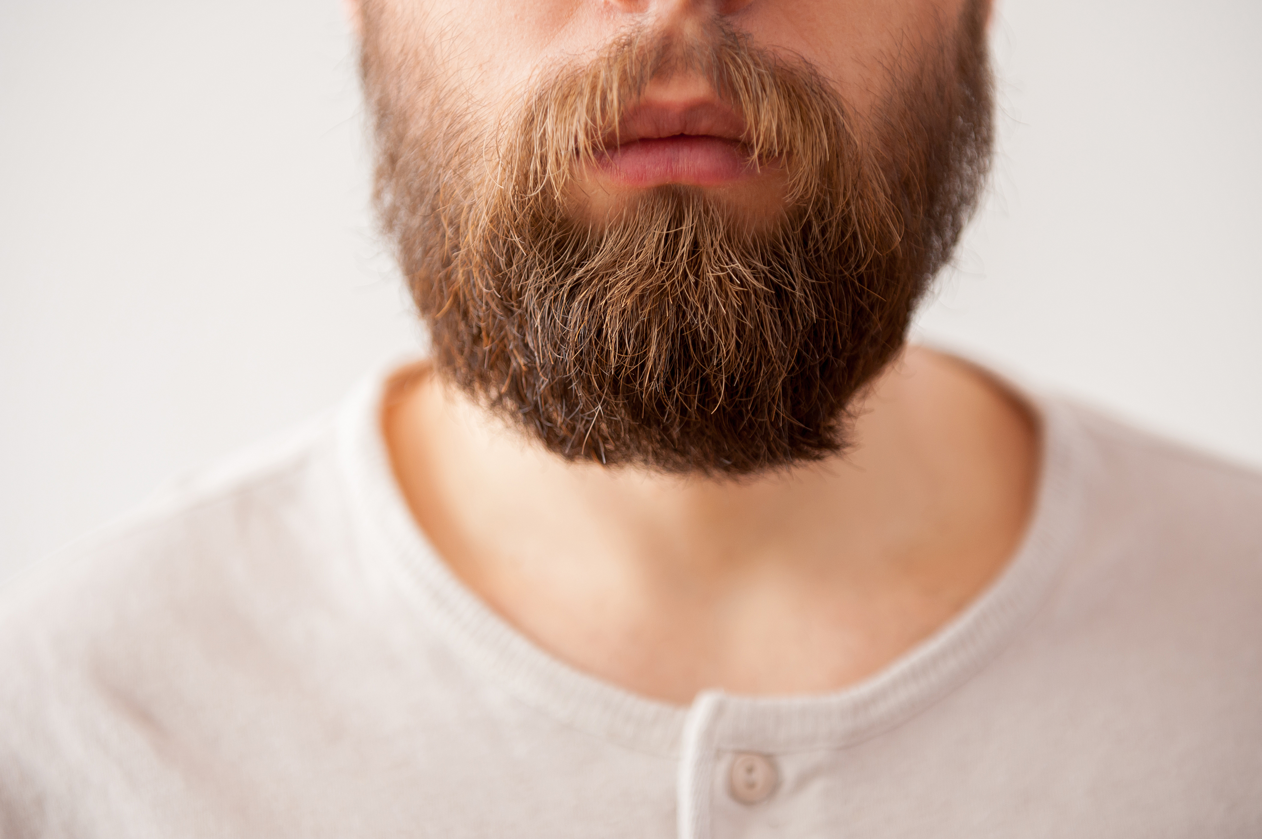 Эффект бороды на фото онлайн бесплатно