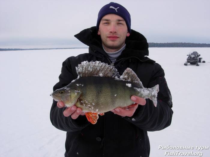 Рыбалка в Томске бывает и платная, и бесплатная Какие виды рыбалки популярны в Томской области Какие там есть рыболовные базы в Каргаске Какие реки и озера стоит посетить в Томской области