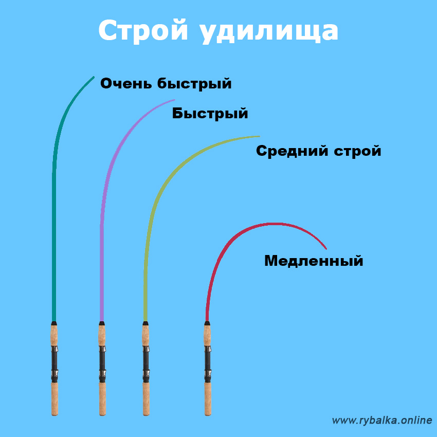 Строй спиннинга фото