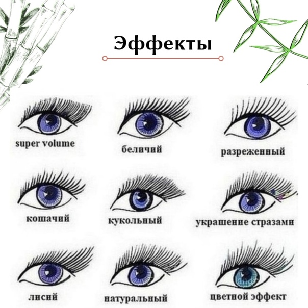 Наращивание ресниц: формы ресниц, изгибы, особенности подбора - janet.ru