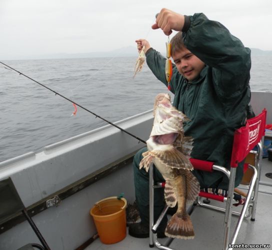 Ловля трески: снасти и оснастка для морской ловли трески