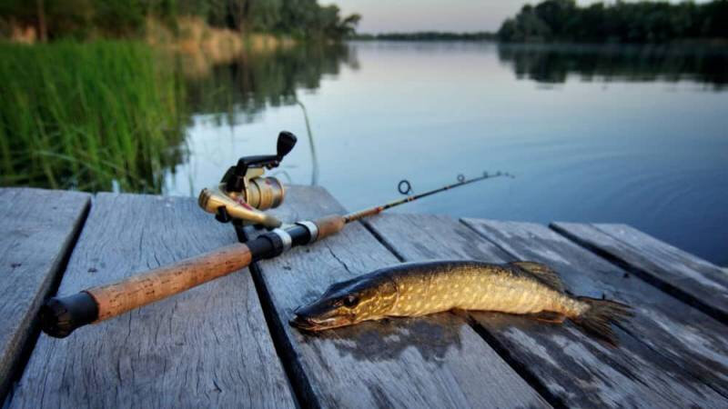 Рыбалка в орловской области — водоемы, рыбы, снасти, прикормки и приманки, отчеты