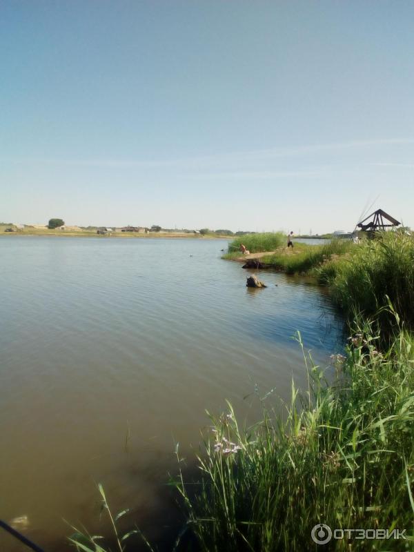 Платные пруды в саратовской области - обзор водоёмов, видео с ловлей